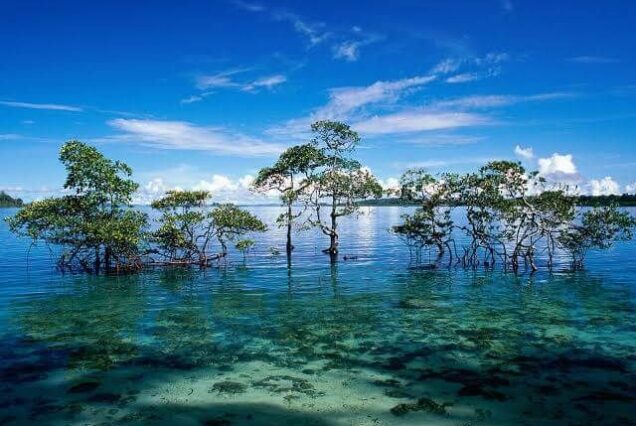 7 Days Andaman Tour Package with Havelock and Neil Islands