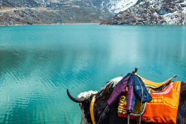 Best of Sikkim, Pelling and Darjeeling - 7 Days Tour Package
