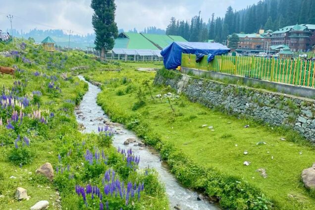 Enchanting Kashmir - Couple Special Tour Package.