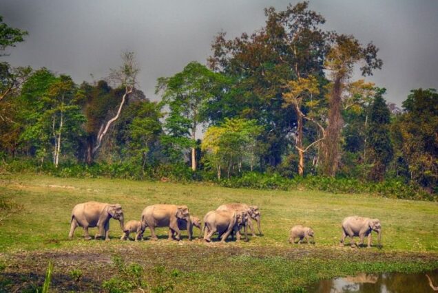 5 Days Best of Meghalaya Tour Package