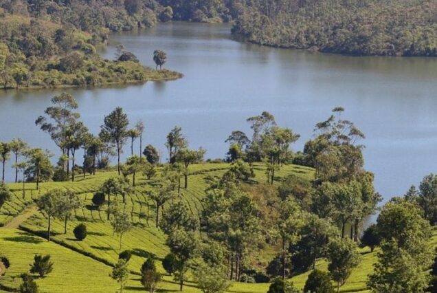 Classic 5 Days Kerala Honeymoon Tour Package