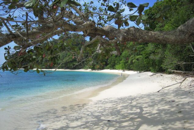 Andaman Delight
