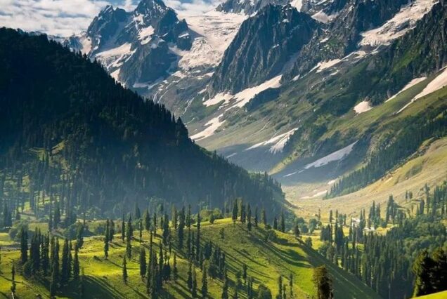 6 Days Tour to the Jewels of Kashmir.
