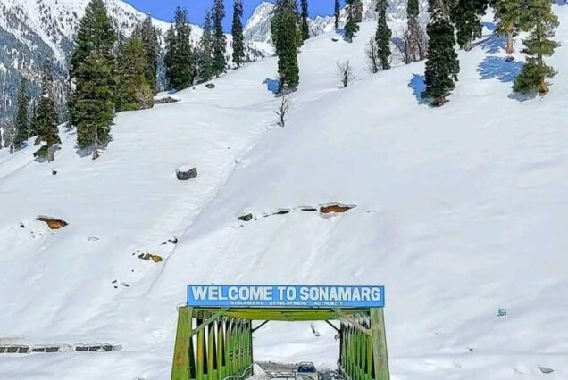 Mesmerising Kashmir Expedition For 4N/5D