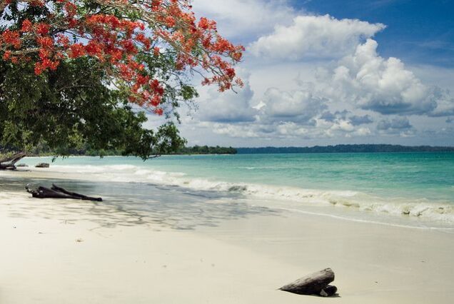 Andaman Special