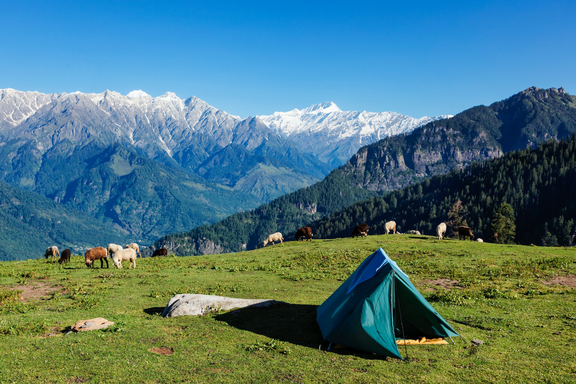 Camp in mountains. Kullu Valley, Himachal Pradesh, India