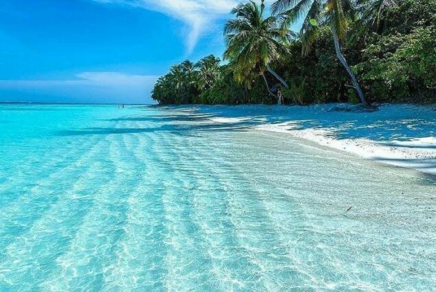 6 Days Andaman Tour Package With Neil
