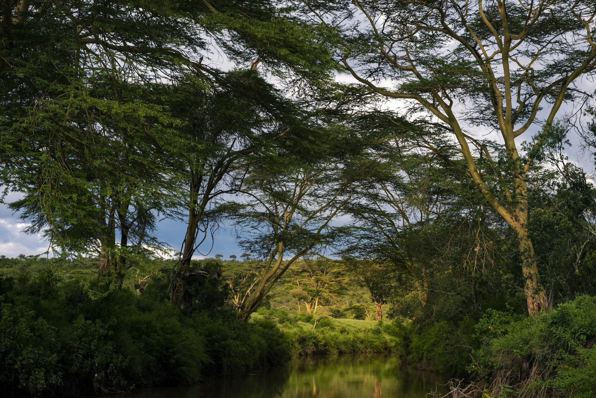 El Karama Ranch, Laikipia County, Kenya