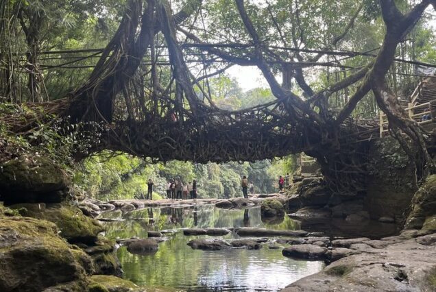 8 Days Ultimate Adventure Trip to Meghalaya