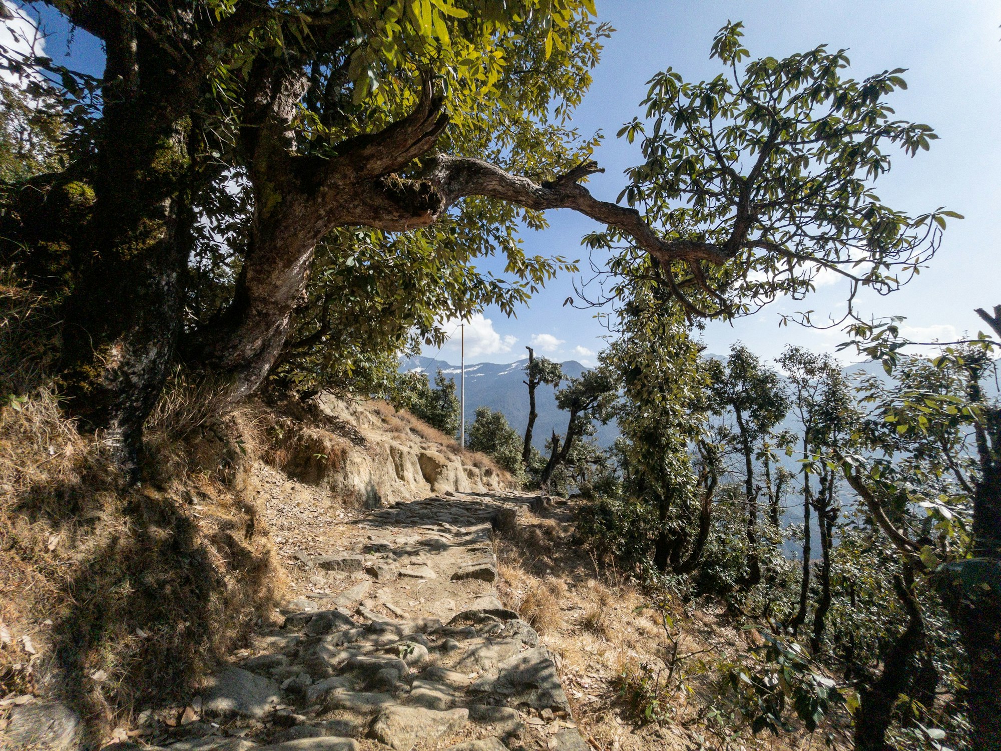 Scenic view of a hiking road near a lake in Uttrakhand, India