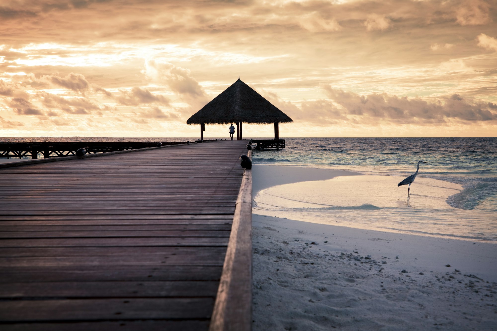 Tropical Beach In The Maldives