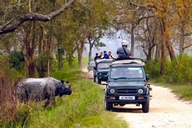 Wildlife Special - 8 Days Kaziranga Meghalaya Tour Package